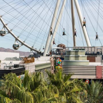 fly linq zipline