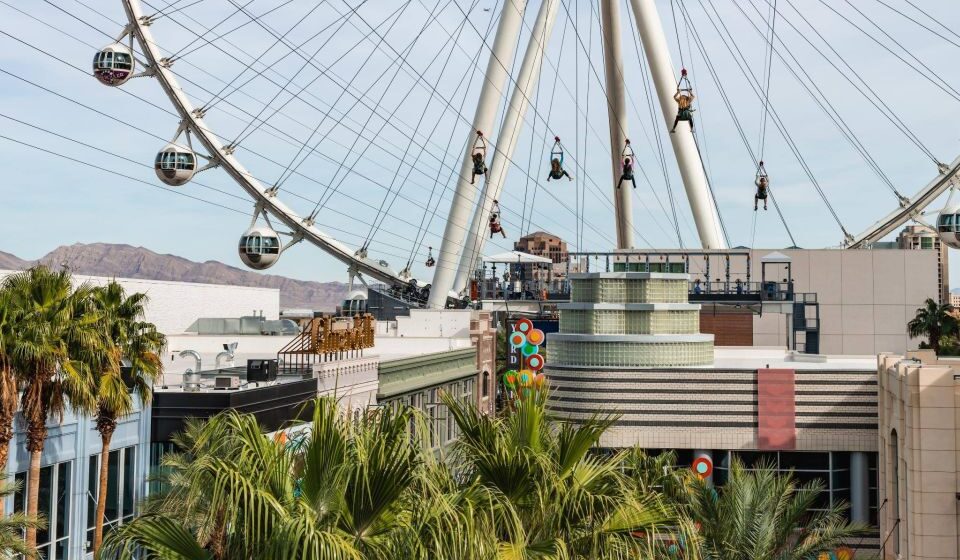 fly linq zipline